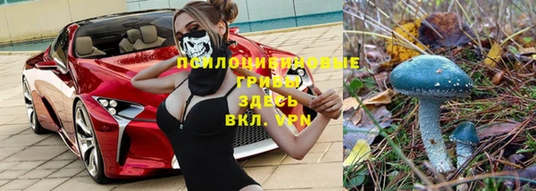 каннабис Баксан