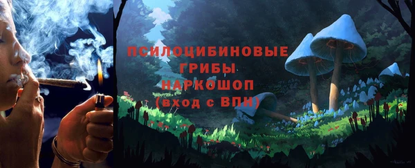 твердый Аркадак