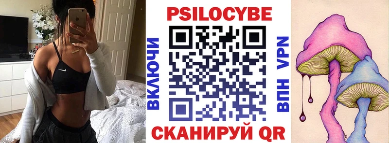 Псилоцибиновые грибы прущие грибы  где купить наркоту  Ясный 